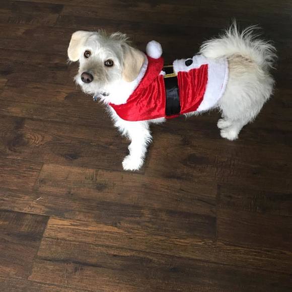 Meet your Posher, Femma - Picture 1 of 1